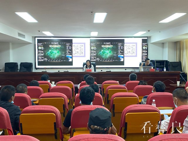 彝良着力推进天麻产业高质量发展