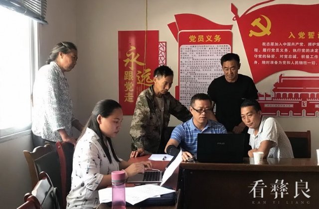 彝良：10万亩有机天麻再认证工作有序推进