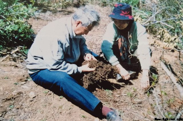 “天麻之父”坚守深山13载，改写天麻不能人工种植历史