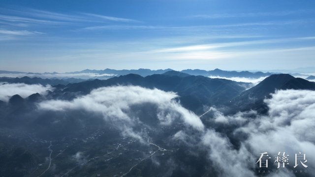 彝良县钟鸣镇：天麻种植正当时