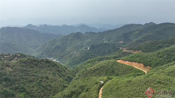 昭通彝良：天麻之旅已成旅游新时尚