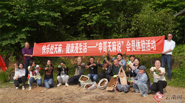 昭通彝良：天麻之旅已成旅游新时尚