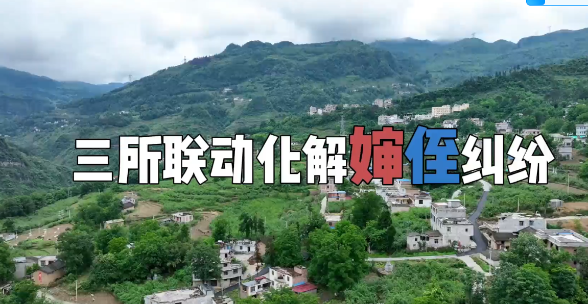 《三所联动化解婶侄纠纷》微视频