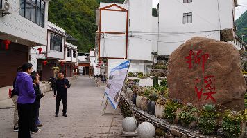 （20260414）彝良柳溪桐梓林