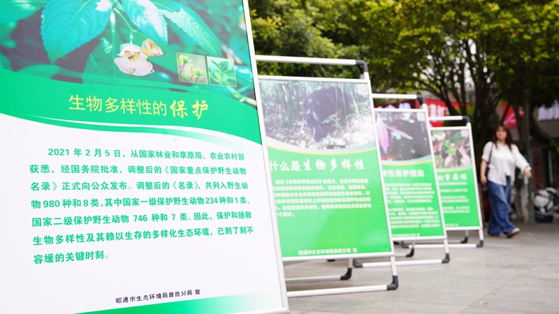 守护生物多样性 彝良在行动